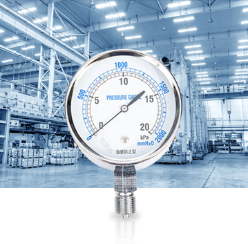 อุตสาหกรรมการผลิตอุตสาหกรรม Pressure Gauges